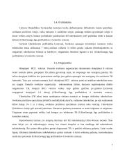 Sergamumas tuberkulioze Lietuvos administracinėse teritorijose 2003-2011 m. laikotarpiu 7 puslapis