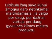 Šiuolaikinės mitybos problemos 16 puslapis