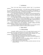 Verslo planas fotostudijai įkurti 3 puslapis