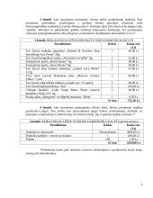 Verslo planas fotostudijai įkurti 6 puslapis