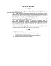 Verslo planas fotostudijai įkurti 7 puslapis