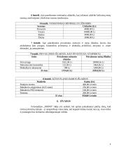 Verslo planas fotostudijai įkurti 9 puslapis