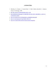 Darbo užmokesčio įtaka darbo našumui 12 puslapis