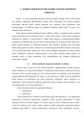 Darbo užmokesčio įtaka darbo našumui 3 puslapis