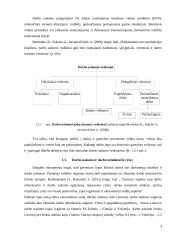 Darbo užmokesčio įtaka darbo našumui 5 puslapis