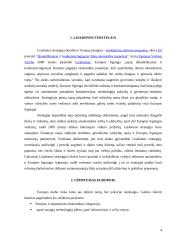 Referatas: Moterų užimtumo klausimas Lisabonos strategijoje 4 puslapis