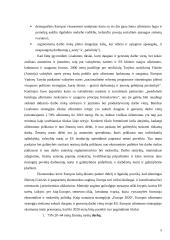 Referatas: Moterų užimtumo klausimas Lisabonos strategijoje 5 puslapis
