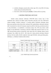 Referatas: Moterų užimtumo klausimas Lisabonos strategijoje 6 puslapis