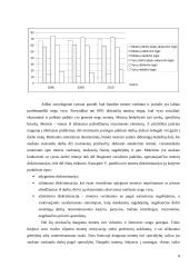 Referatas: Moterų užimtumo klausimas Lisabonos strategijoje 8 puslapis