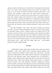 Referatas: Moterų užimtumo klausimas Lisabonos strategijoje 9 puslapis