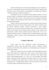 Socialinio negalės vaizdinio raida: antika, mistinė etika viduramžiais, negalės mokslinės koncepcijos užuomazgos 6 puslapis