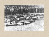 Žydai Lietuvoje skaidrės 15 puslapis