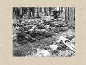 Žydai Lietuvoje skaidrės 16 puslapis