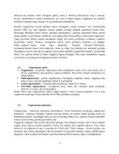 Vegetarizmas ir veganizmas 4 puslapis