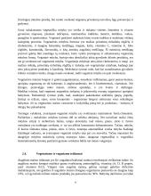 Vegetarizmas ir veganizmas 6 puslapis