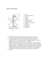 Kietojo kūno sukamojo judėjimo tyrimas laboratorinis darbas 2 puslapis