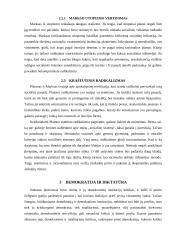 Dalinių sprendimų ir utopinė socialinė inžinerija 6 puslapis