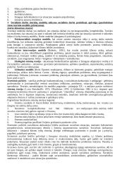 Socialinio darbo teorijos ir praktikos raidos aspektai 2 puslapis