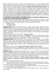 Socialinio darbo teorijos ir praktikos raidos aspektai 11 puslapis