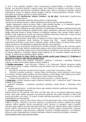 Socialinio darbo teorijos ir praktikos raidos aspektai 13 puslapis