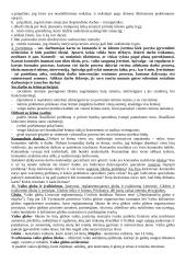 Socialinio darbo teorijos ir praktikos raidos aspektai 14 puslapis