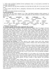 Socialinio darbo teorijos ir praktikos raidos aspektai 16 puslapis