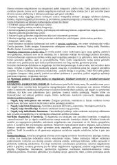 Socialinio darbo teorijos ir praktikos raidos aspektai 18 puslapis