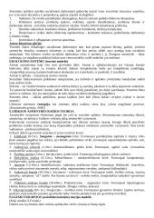 Socialinio darbo teorijos ir praktikos raidos aspektai 3 puslapis