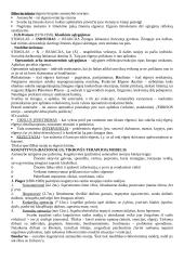 Socialinio darbo teorijos ir praktikos raidos aspektai 4 puslapis