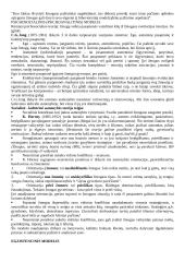 Socialinio darbo teorijos ir praktikos raidos aspektai 5 puslapis