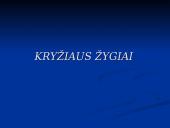 Kryžiaus žygiai skaidrės