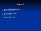 Kryžiaus žygiai skaidrės 2 puslapis