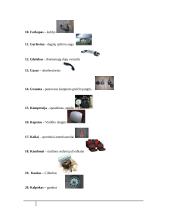 Elektros ir automatikos įrenginių specialybės terminų žodynėlis 3 puslapis