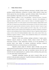 Italijos regionalizacija 4 puslapis