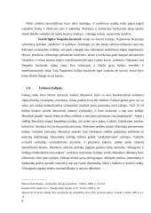 Italijos regionalizacija 8 puslapis