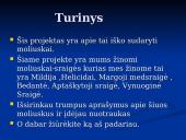 Moliuskai, jų rūšys 2 puslapis
