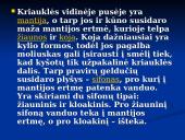 Moliuskai, jų rūšys 5 puslapis