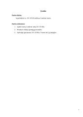 XV-XVIII a. Londono laikų teatrai 3 puslapis