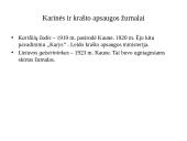 Specializuoti lietuviški žurnalai (1918 – 1930) 12 puslapis