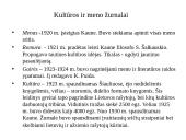 Specializuoti lietuviški žurnalai (1918 – 1930) 3 puslapis