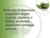 Biokuras pristatymas 2 puslapis