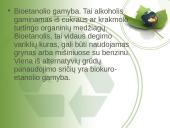 Biokuras pristatymas 14 puslapis
