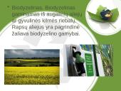 Biokuras pristatymas 16 puslapis