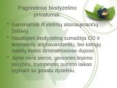 Biokuras pristatymas 17 puslapis