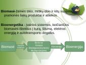 Biokuras pristatymas 3 puslapis