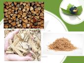 Biokuras pristatymas 5 puslapis