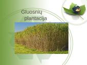 Biokuras pristatymas 7 puslapis