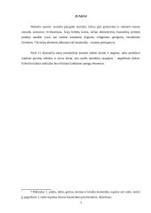 Makiažo istorinė raida 3 puslapis