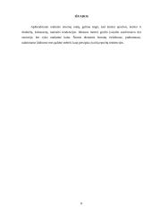 Makiažo istorinė raida 8 puslapis