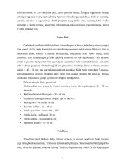 Ergonomika grožio specialistams 5 puslapis